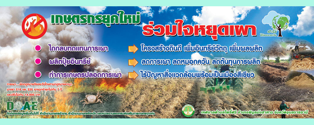 slide_file_16.webp